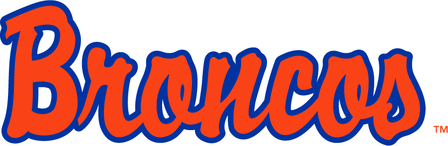 Boise State Broncos 1997-2001 Wordmark Logo DIY iron on transfer (heat transfer)